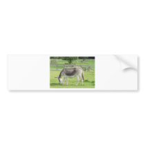 Grey Donkey Bumper Stickers