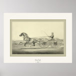 Grey Eagle  ~ 1866 ~ Vintage Fine Art Print