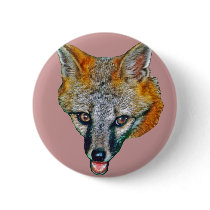 Grey Fox Drawing