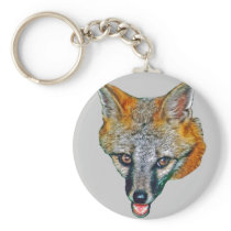 Grey Fox Drawing