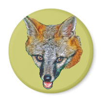 Grey Fox Drawing