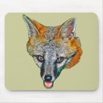 Grey Fox Drawing