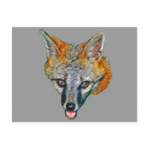 Grey Fox Drawing