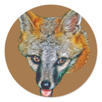 Grey Fox Drawing