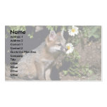 Grey Fox-young kit Business Card