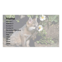 Grey Fox-young kit Business Card