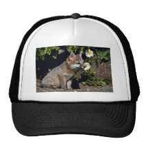 Grey Fox-young kit Mesh Hats