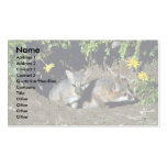 Grey Foxes-young kits at den Business Card