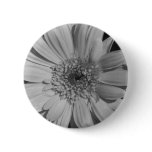 Grey Gerbera Button