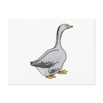 Grey Goose Postcard