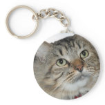 Grey (Grey) Longhair Tabby Cat Keychain