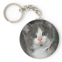 Grey/Grey/Silver and White Kitten Keychain