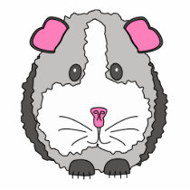 Grey Guinea Pig