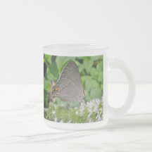 Grey Hairstreak Butterfly Mugs