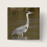 Grey Heron buttons