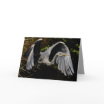 Grey Heron Card