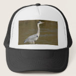 Grey Heron hats