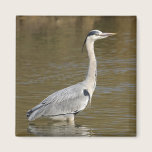 Grey Heron magnets