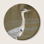 Grey Heron magnets