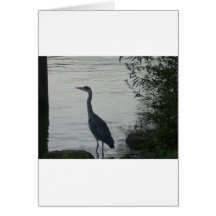 Grey Heron on Thames Cards