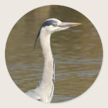 Grey Heron stickers