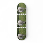 Grey Horse  Skateboard