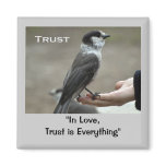 Grey Jay Motivational Magnets