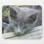 Grey Kitten Mousepad