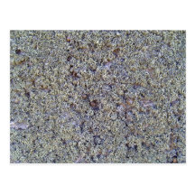Grey moss on rocky surface postcard