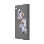 Grey Orchids Wrapped Canvas Gallery Wrap Canvas