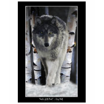 GREY PACK WOLF Collection Tshirts