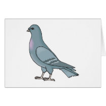 grey pigeon cards