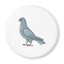 grey pigeon magnet