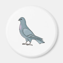 grey pigeon magnet