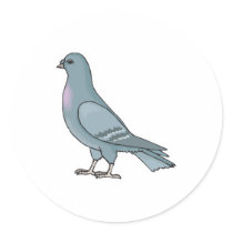 grey pigeon sticker