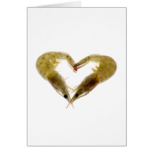Grey prawns in love card