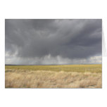 Grey Rain On Golden Field Card