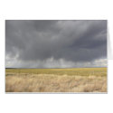 Grey Rain On Golden Field Card