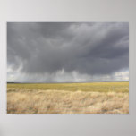 Grey Rain On Golden Field posters