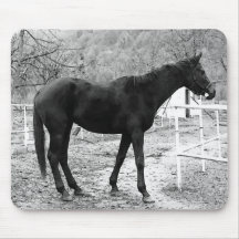 Grey Scale Pop Art Horse Mouse Pad