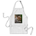 Grey Squirrel Apron