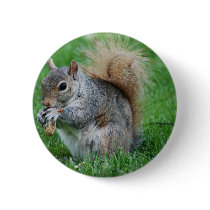 Grey Squirrel  Button