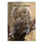 Grey Squirrel Card
