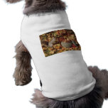 Grey Squirrel Feeding pet clothing