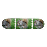 Grey Squirrel Skateboard