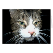 Grey Tabby card