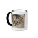 Grey Tabby Cat Mug