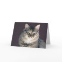 Grey Tabby Cat Note Card