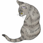 grey tabby cat (yellow eyes) photo sculptures