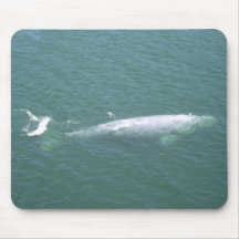 Grey Whale Mousepad